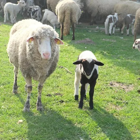 Kroppenmuehle Apartament Schoenburg