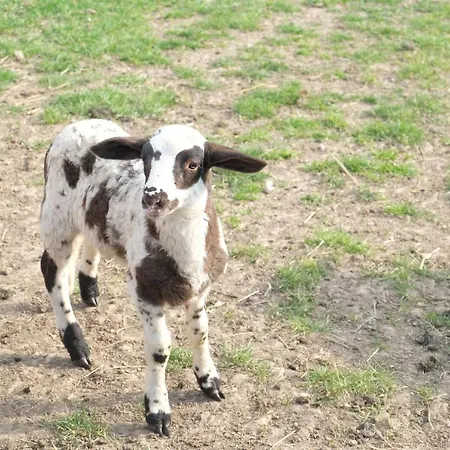 Kroppenmuehle Apartament *