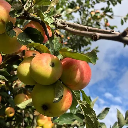 Apartament Kroppenmuehle Schoenburg