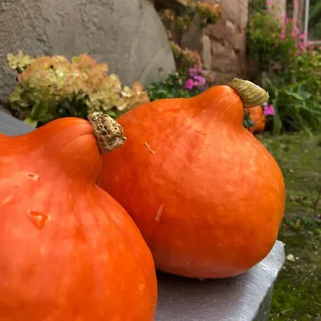 Kroppenmuehle Schoenburg