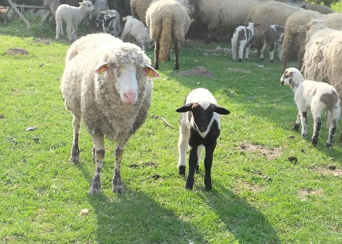 Kroppenmuehle Lejlighed Schoenburg