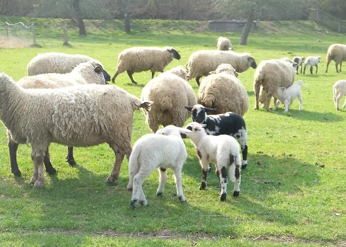 Kroppenmuehle Lejlighed