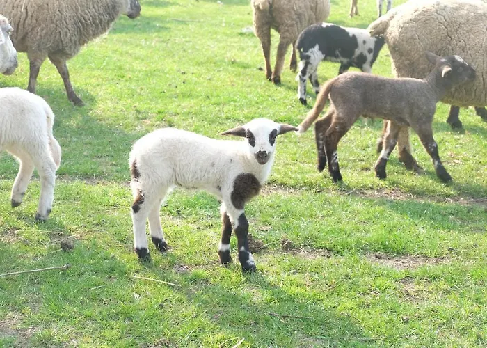 Lejlighed Kroppenmuehle Schoenburg