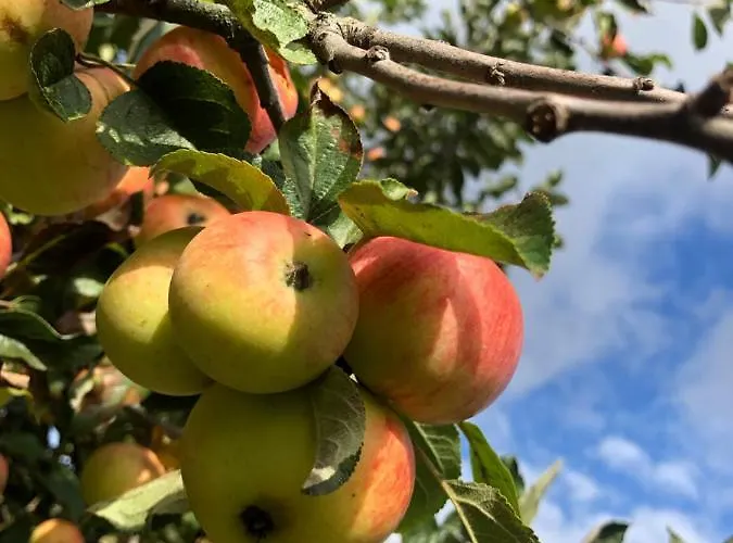 Lejlighed Kroppenmuehle Schoenburg