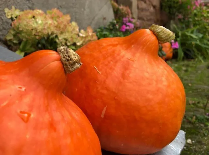 Kroppenmuehle Schoenburg